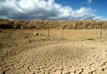 Governor Abbott Declares State of Disaster Due To Drought Conditions In 17 Texas Counties
