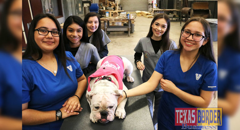 Mission CISD CTE program adds Veterinary Science option for students