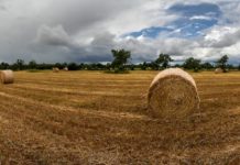 Congressman Gonzalez Encourages Central and South Texans to Apply for Additional $550 Million in Funding for USDA ReConnect Pilot Program