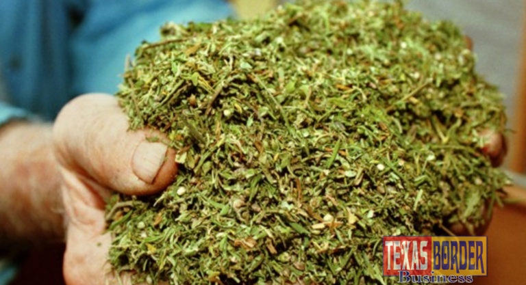 Austin passes its Marijuana Resolution