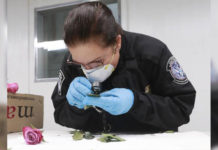 Rep. Vela’s Bill, The Protecting America’s Food and Agriculture Act, Passes in the U.S. House of Representatives