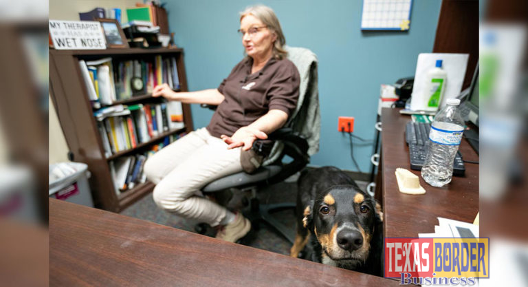UTRGV’s Silcox and Flip certified as Animal-Assisted Crisis Response Team