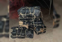 Rio Grande City Agents Seize More Than $600K Worth of Marijuana