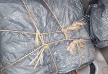 Border Enforcement win as Agents net Close to 800 Pounds of Drugs