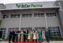 SiCar Farms Expands its Horizons in McAllen