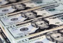 Mexican Man Convicted of smuggling Half a Million Dollars