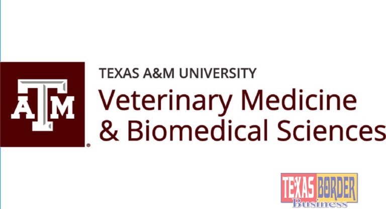 Texas A&M Veterinary Lab Tests People for COVID-19 Despite Federal Red Tape limiting Capacity
