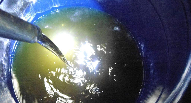 RGV Agents Seize Over $1.5 Million in Meth