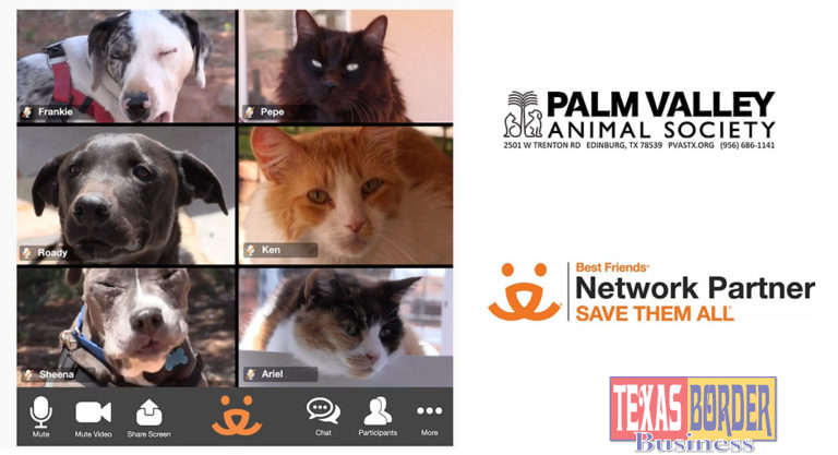Palm Valley Animal Society Best Friends Animal Society Team Up with Adopets for First-Ever National Virtual Super Adoption