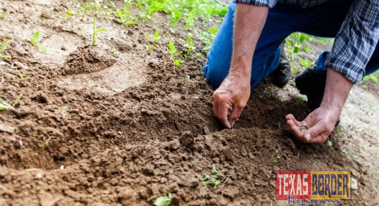 Cornyn: Coronavirus Relief Program for Texas Farmers, Ranchers, and Producers Begins Accepting Applications Today