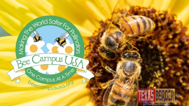 UTRGV’s commitment to helping pollinators renews Bee Campus USA designation
