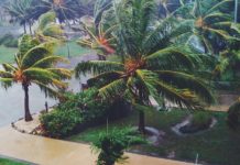 Hurricane Season is in Progress: UTRGV Offering new graduate certificate in Disaster Management and Sustainability