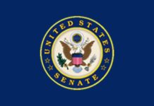 Sens. Cruz, Rounds, Colleagues Urge Department of Treasury, Small Business Administration to Revise Paycheck Protection Program Loan Forgiveness Application