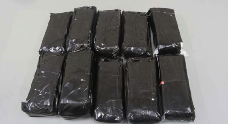 A Keen Nose Leads to Currency Seizure