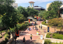 Photo Courtesy The University of Texas at San Antonio