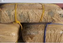 Border Patrol Seizes More than $400K Worth of Drugs