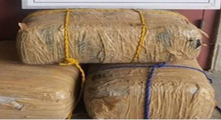 Border Patrol Seizes More than $400K Worth of Drugs