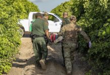 Hot Summer Temperatures Continue to Place Illegal Aliens at Risk