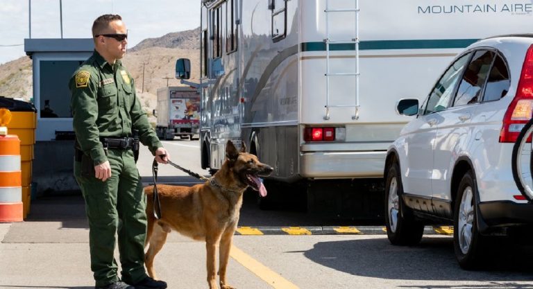 A Border Patrol K-9 Sniffs Out More Than 20 Pounds of Cocaine