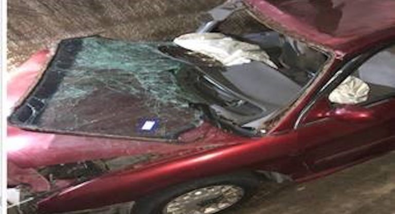 Multiple Subjects Injured During a Dangerous Smuggling Attempt