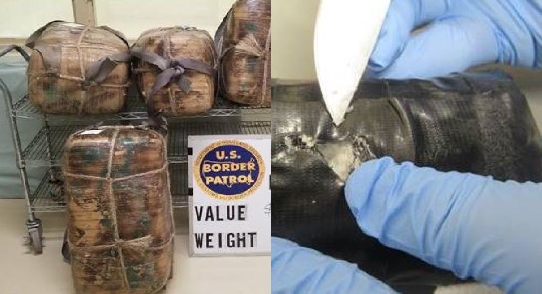 RGV Agents Seize over $1M Worth of Drugs - Texas Border Business