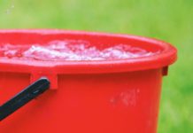 McAllen Residents Asked to Report Standing Water and Mosquito Concerns