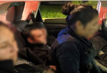 RGV Agents Arrest 14 Illegal Aliens