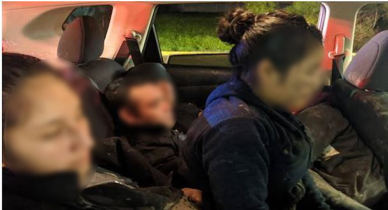 RGV Agents Arrest 14 Illegal Aliens