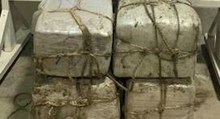 RGV Agents Intercept More Than $700K Worth of Drugs