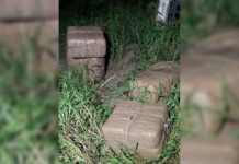 Border Patrol Seizes Nearly $400K Worth of Drugs