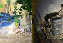 Border Patrol Intercepts More Than $700K Worth of Drugs