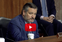Sen. Cruz: ‘To Sign off on Turning the FBI and the CIA Into a Tool of Opposition Research’ Has ‘Done Immeasurable Damage’