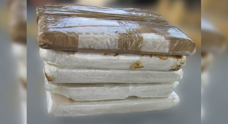 The Nose Knows: A Border Patrol K-9 Alerts Agents to Heroin