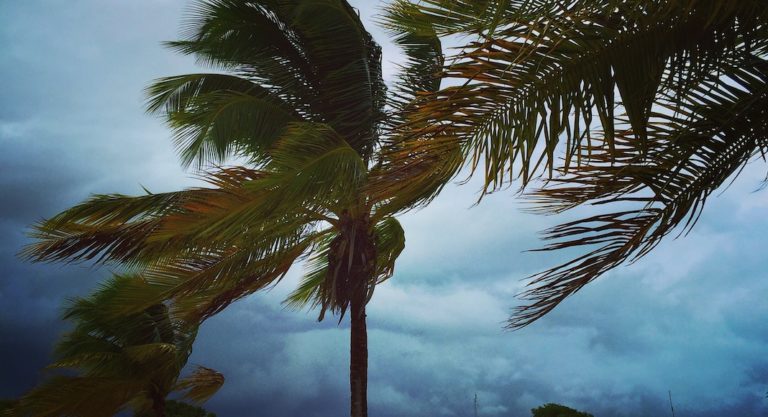 Governor Abbott Requests Federal Disaster Assistance for Hidalgo County Following Hurricane Hanna