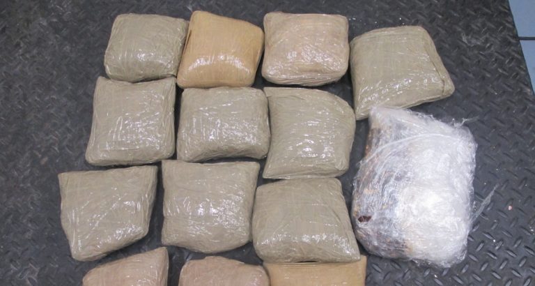 Border Patrol K-9s Sniff Out Nearly $2M Worth of Hard Narcotics