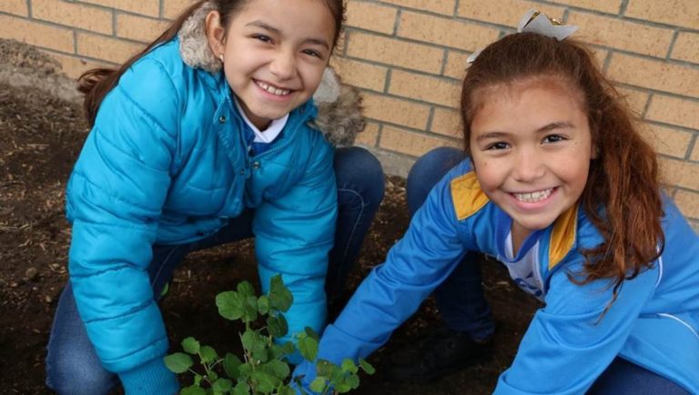 IDEA Announces Online After-School Virtual Junior Master Gardeners Program for All IDEA Students