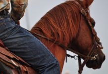 Governor Abbott Welcomes Wrangler National Finals Rodeo Back To Texas