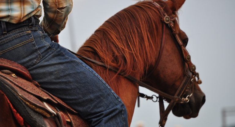 Governor Abbott Welcomes Wrangler National Finals Rodeo Back To Texas