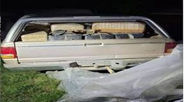 Border Patrol Seizes more than $450K Worth of Drugs