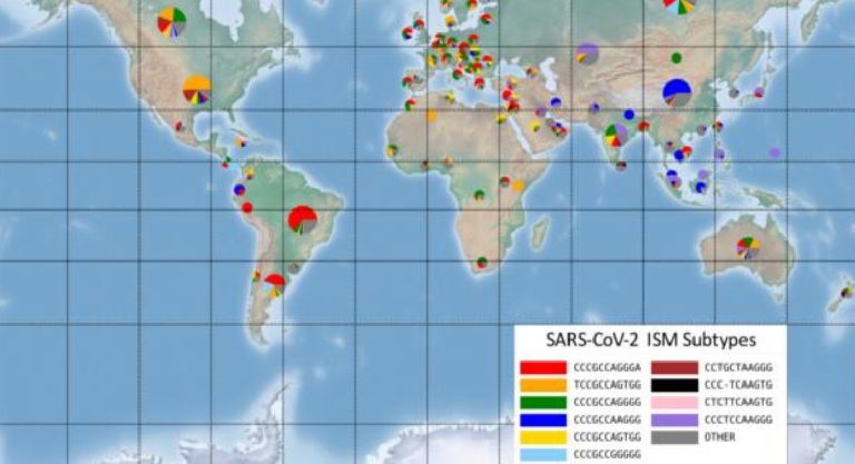 Genetic tracing ‘barcode’ is rapidly revealing COVID-19’s journey and evolution