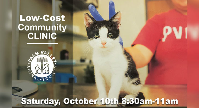 Palm Valley Animal Society to hold Community Clinic this Saturday