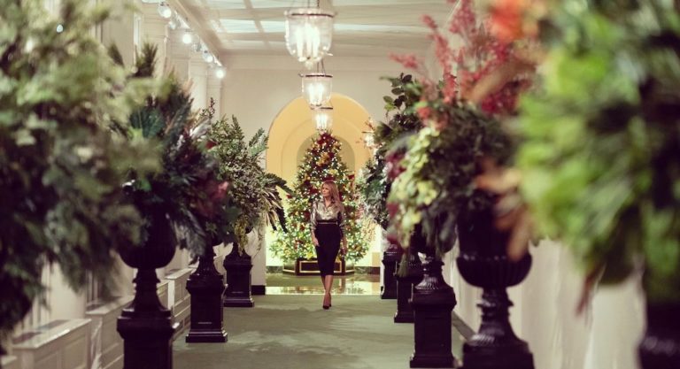 WATCH: First Lady unveils 2020 Christmas decorations!