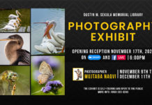 Species at Stake by Mujtaba H. Naqvi