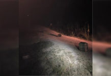 Border Patrol Agents Seize Over $600K worth of Marijuana