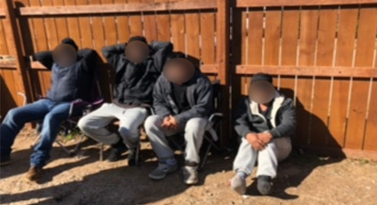 Joint Collaboration Leads to the Arrest of 50 Illegal Aliens within Three Days
