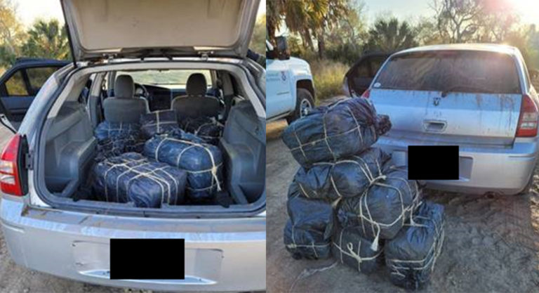 RGV Agents Seize Over $258K in Marijuana