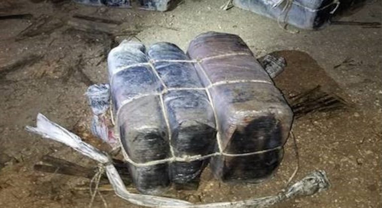 Over 1K Pounds of Marijuana Seized in the RGV