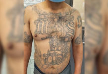 Mara-Salvatrucha (MS-13) Gang Member Arrested