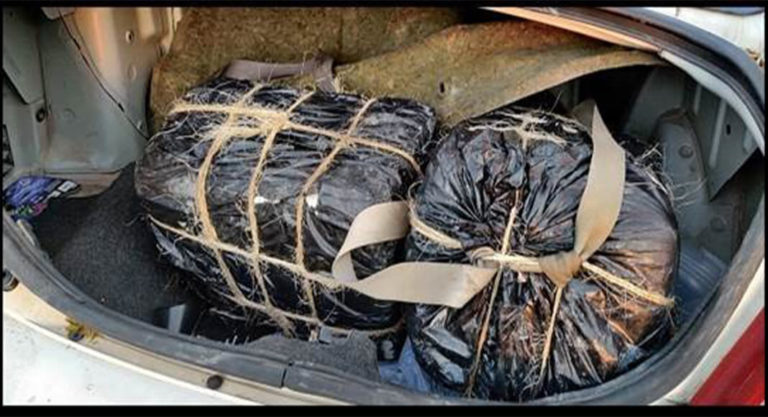 Border Patrol Seizes Over $1.4M Worth of Drugs
