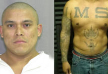 Violent Criminal Aliens Arrested by RGV Border Patrol Agents
